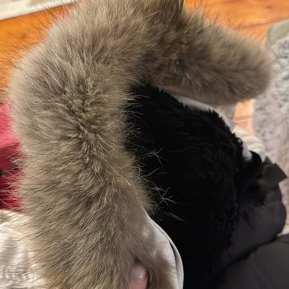 White Canada Goose Parka sz XS NEEDS CLEANING- see pics Coyote Fur detach hood - Picture 10 of 12